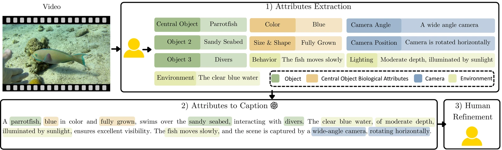 Parrotfish video example showing human-extracted attributes, a color-coded generated caption and the human-refined caption.