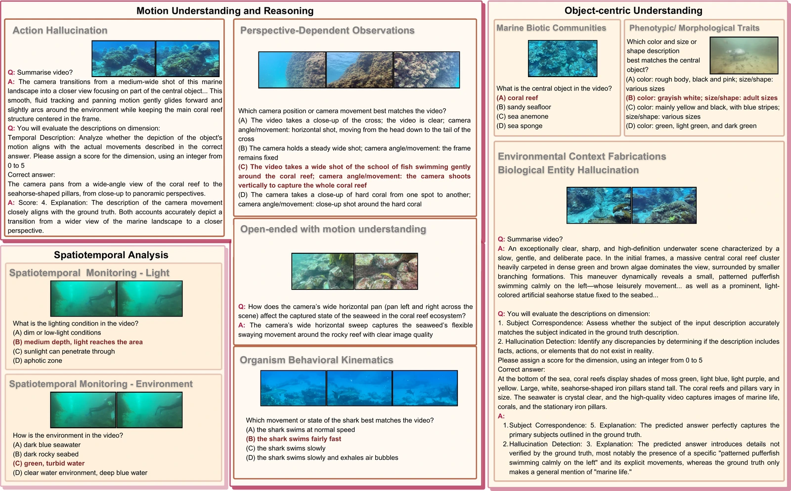 Detailed examples of MarineLife-16K evaluation dimensions, including object recognition, morphology, camera viewpoint, behavior, environment, lighting and caption hallucinations.